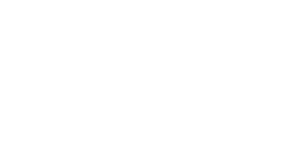 Imagen de Logo blanco
